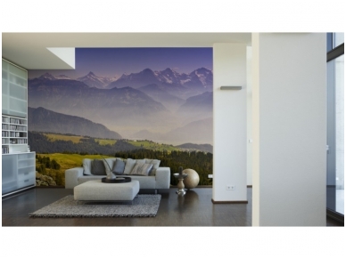 XXL2 fototapetai 470385 M 1
