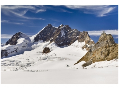 XXL2 fototapetai 470386 M