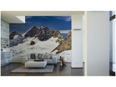 XXL2 fototapetai 470386 XL 1