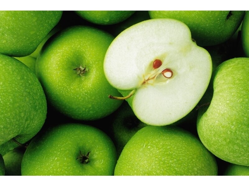 XXL1 fototapetai 033010 XXL