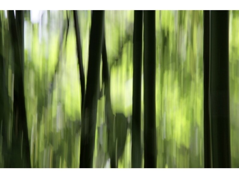 XXL1 fototapetai 036280 XL