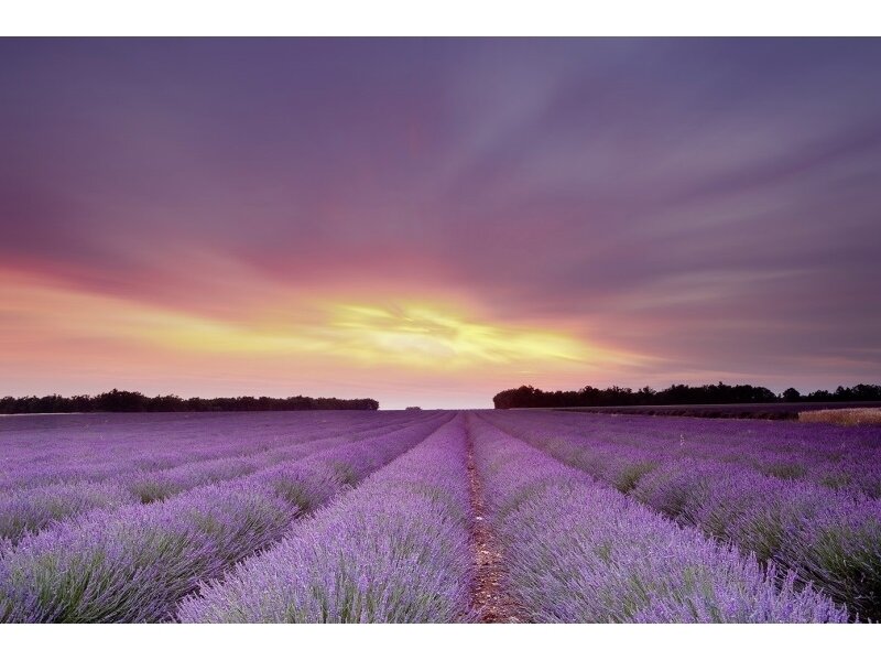 XXL2 fototapetai 470300 L