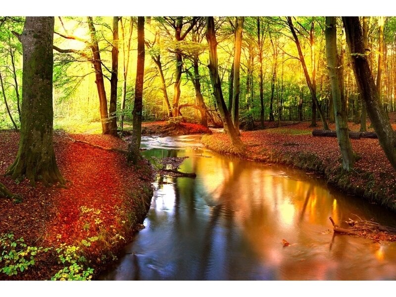 XXL2 fototapetai 470303 XL XXL2 fototapetai 470303 XL