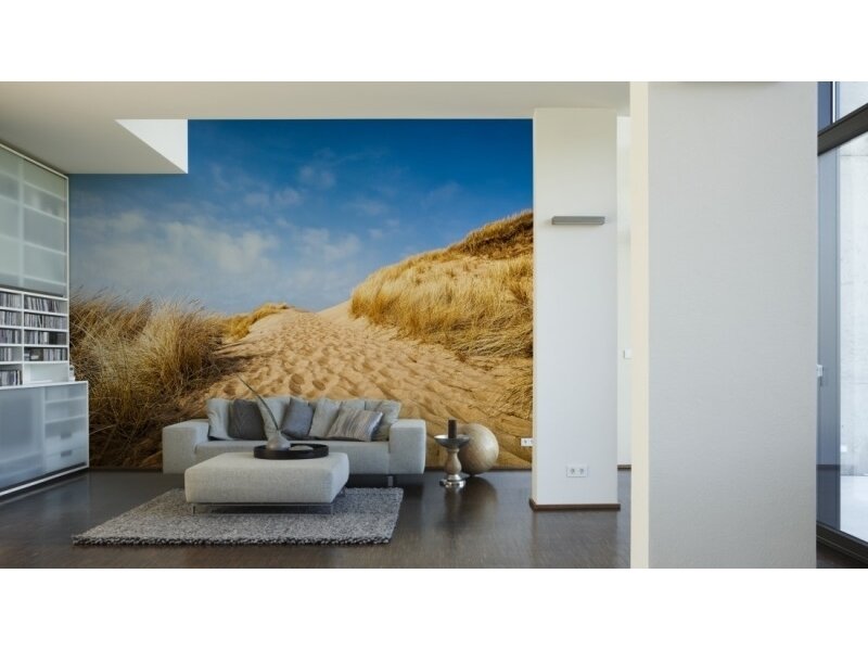 XXL2 fototapetai 470304 XL 1 XXL2 fototapetai 470304 XL 1