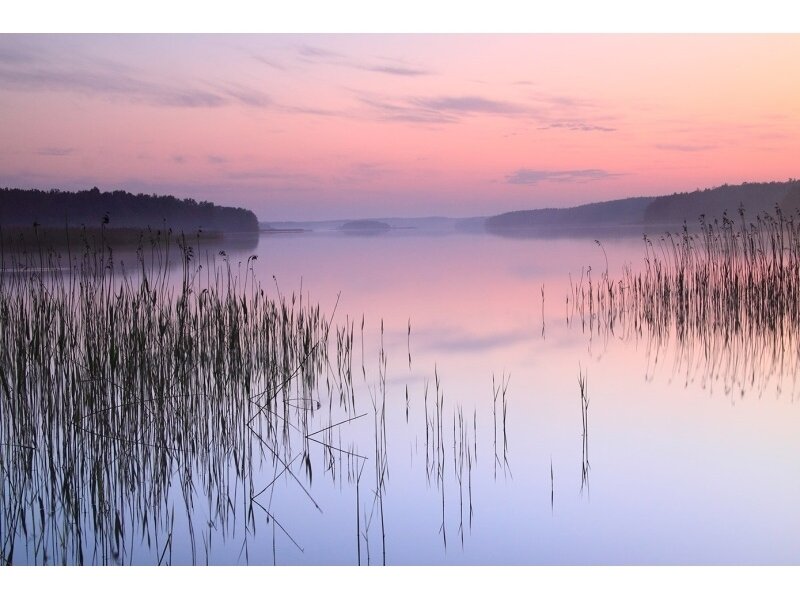 XXL2 fototapetai 470313 M