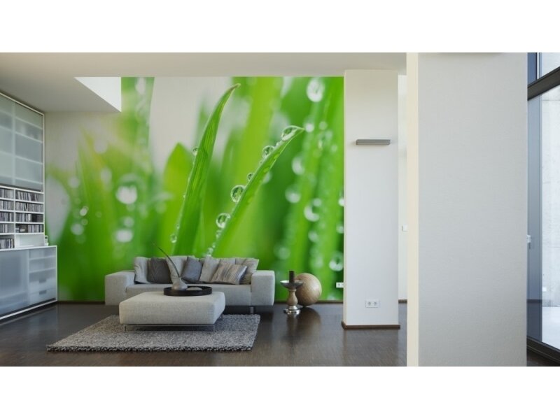 XXL2 fototapetai 470320 M 1