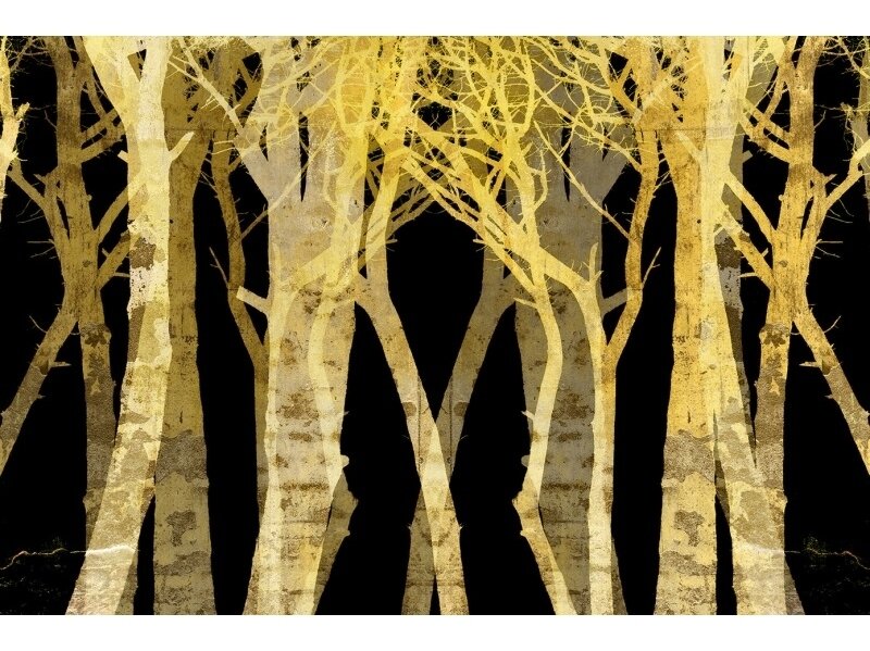 XXL2 fototapetai 470364 L