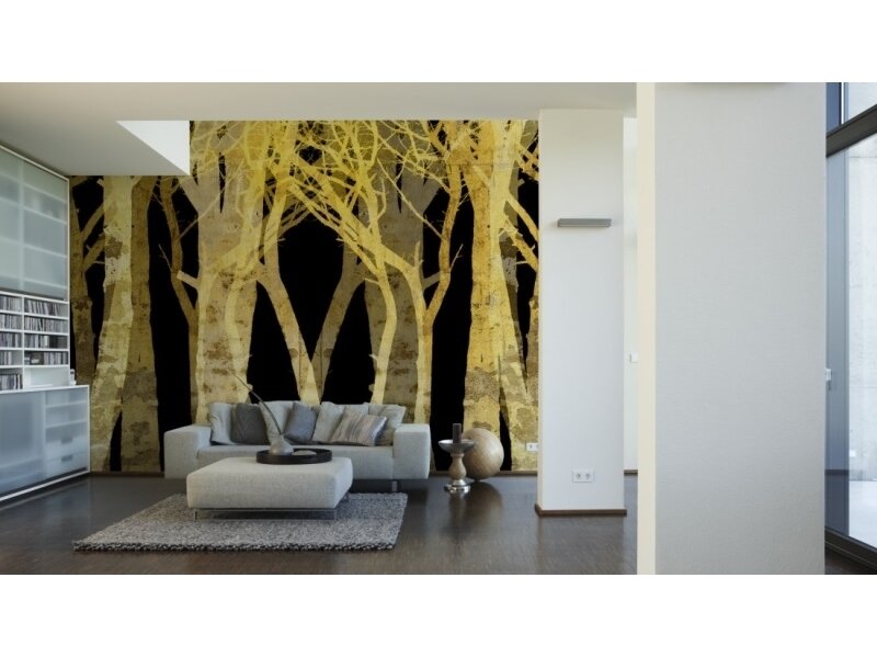 XXL2 fototapetai 470364 L 1