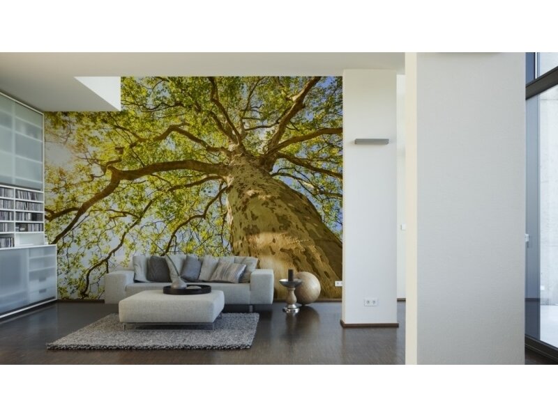 XXL2 fototapetai 470382 XL 1