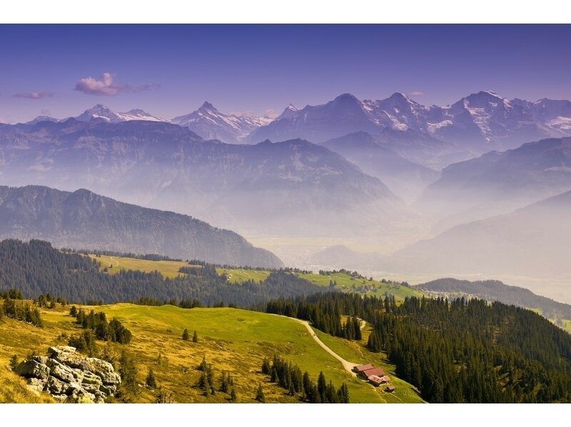 XXL2 fototapetai 470385 M