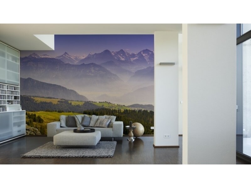 XXL2 fototapetai 470385 M 1