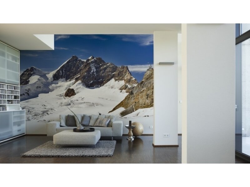 XXL2 fototapetai 470386 L 1 XXL2 fototapetai 470386 L 1